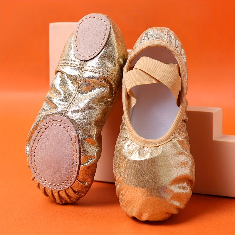 Ballet Shoes for Girls for Christmas; New Summer Aurora Flash Dance Footwear; Dance Shoes; Performance Practice Ballet Shoes for Girls
