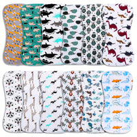 Animal Models