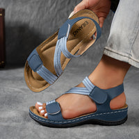 Navy Color