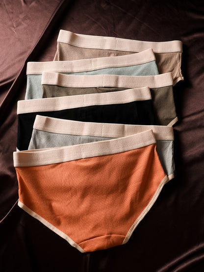 6pcs BIWEIER Women's Soft Underwear - Full Coverage Briefs with Striped Waistband, Soft Skin-Friendly Panties Suitable for Daily Wear, Gym, Vacation - Elegant Ladies Valentine's Gift (Non-Sheer)