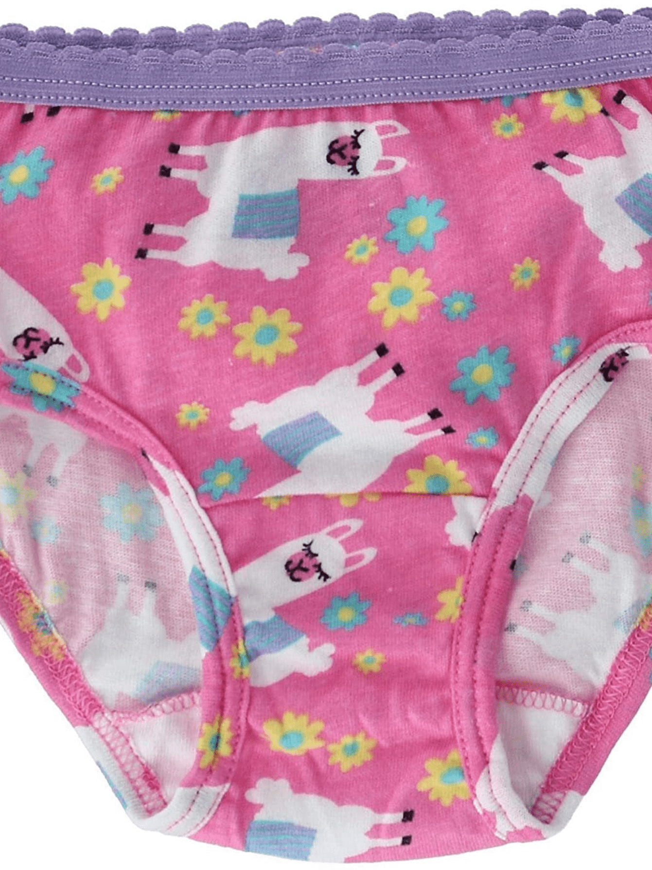 Fruit of the Loom Toddler Girls 10 Pack Assorted Cotton Brief Underwear Sizes 2T/3T and 4T/5T