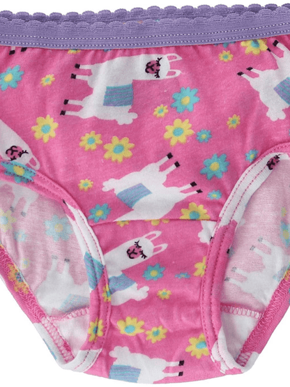 Fruit of the Loom Toddler Girls 10 Pack Assorted Cotton Brief Underwear Sizes 2T/3T and 4T/5T