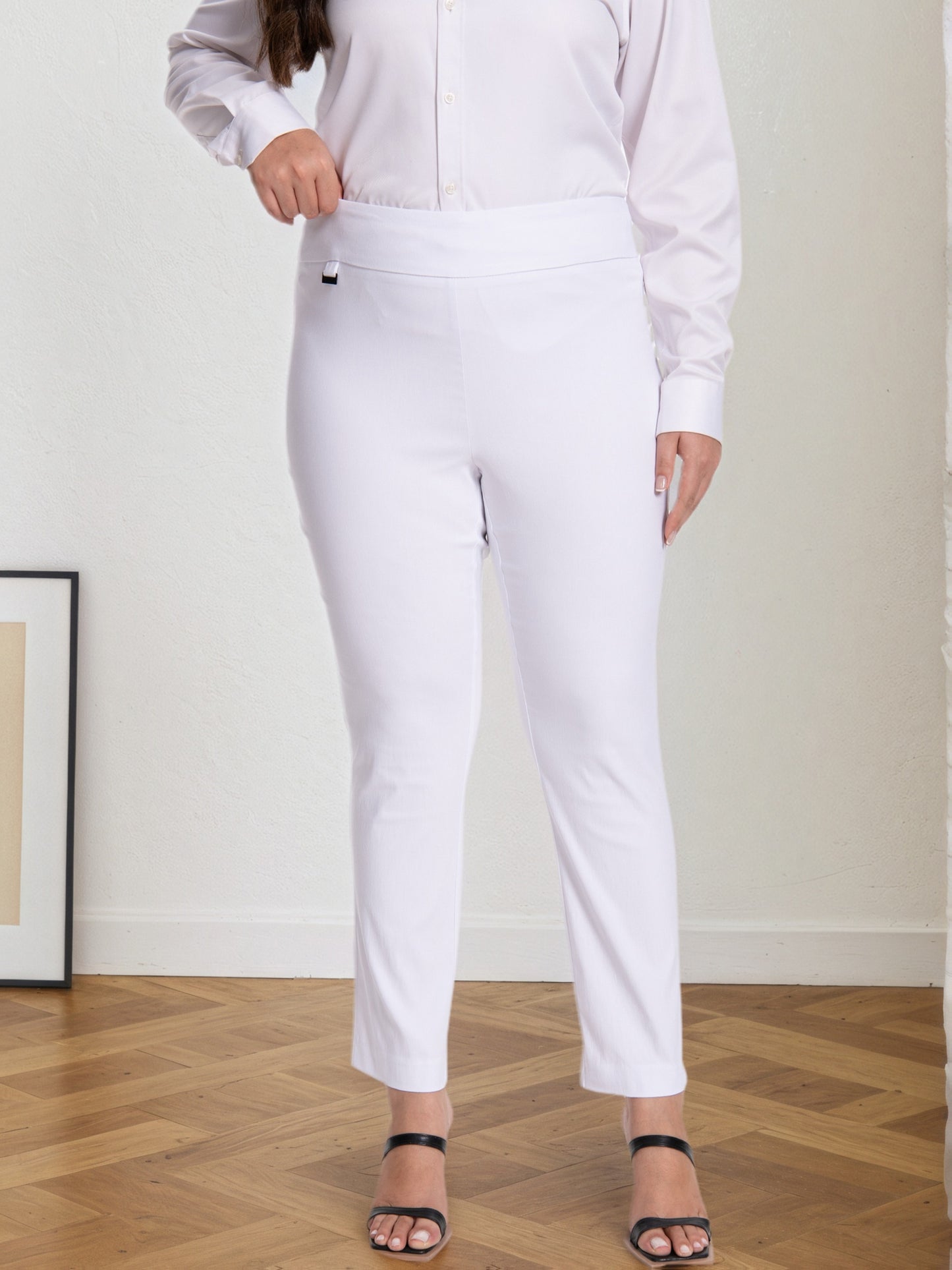 Plus Size - Plus Size - Women Pull on Pant with Silver During Super Stretch Soft Millennium Fabric to Work Ankle Pant