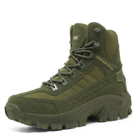 fern green