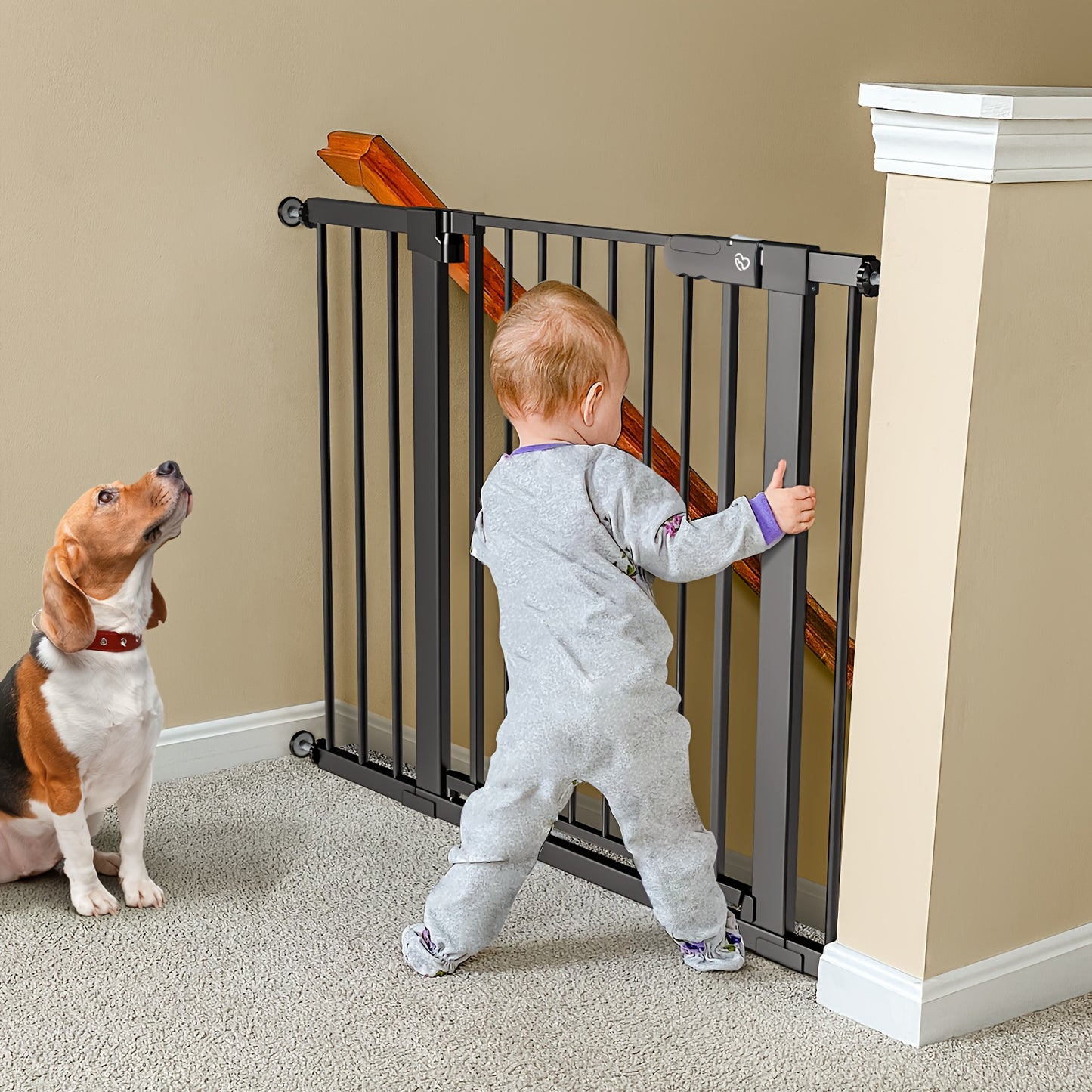 27-43 Inch Metal Gate
