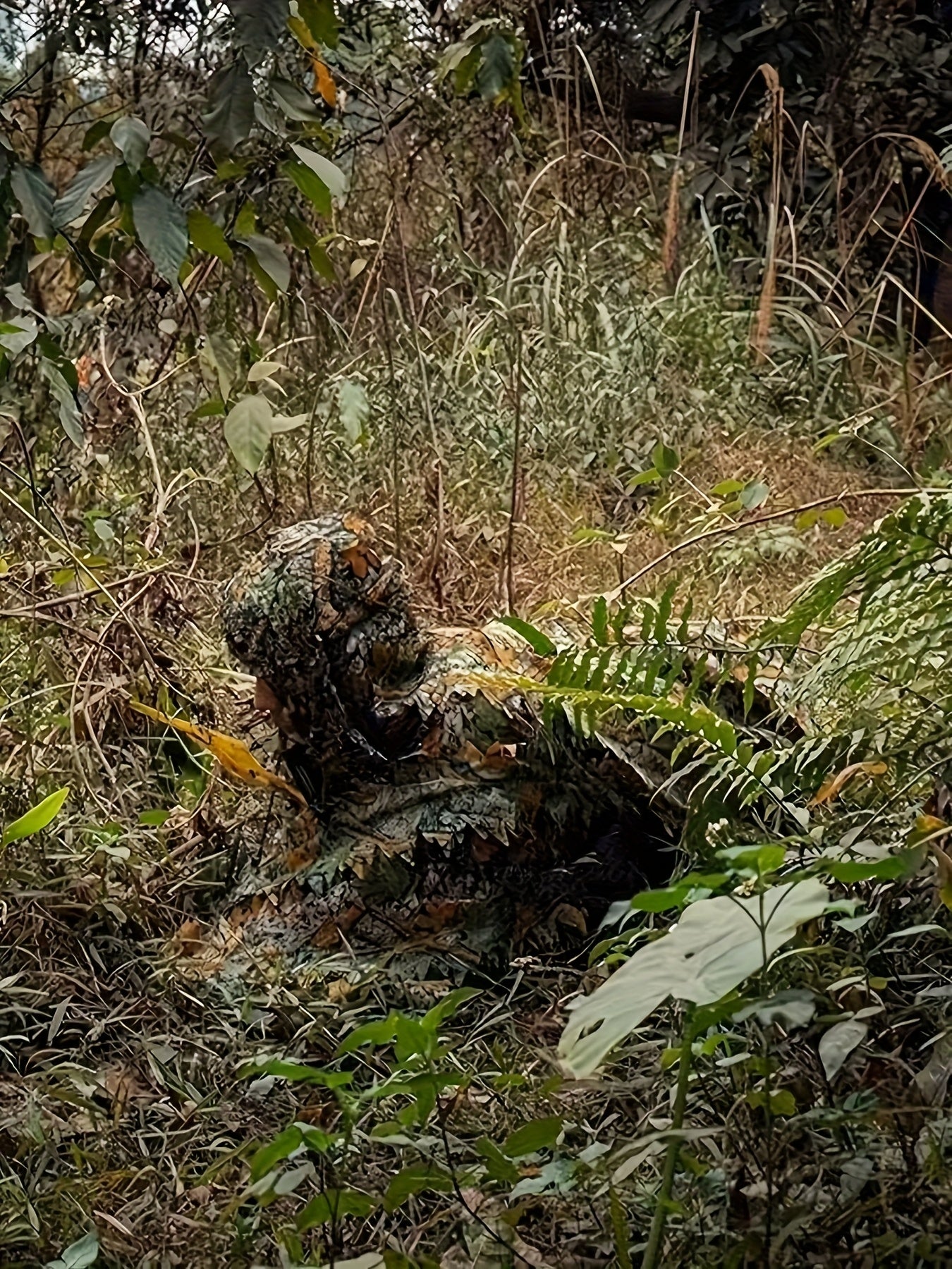 3D Maple Leaf Camouflage Suit, Survival Game, Net Hood, One Size Fits All Combat Costume, Camouflage Outfit, Very Suitable for Bird Watching, Hunting, Outdoor Activities, Lurking Games And Other Activities, S-XL Applicable